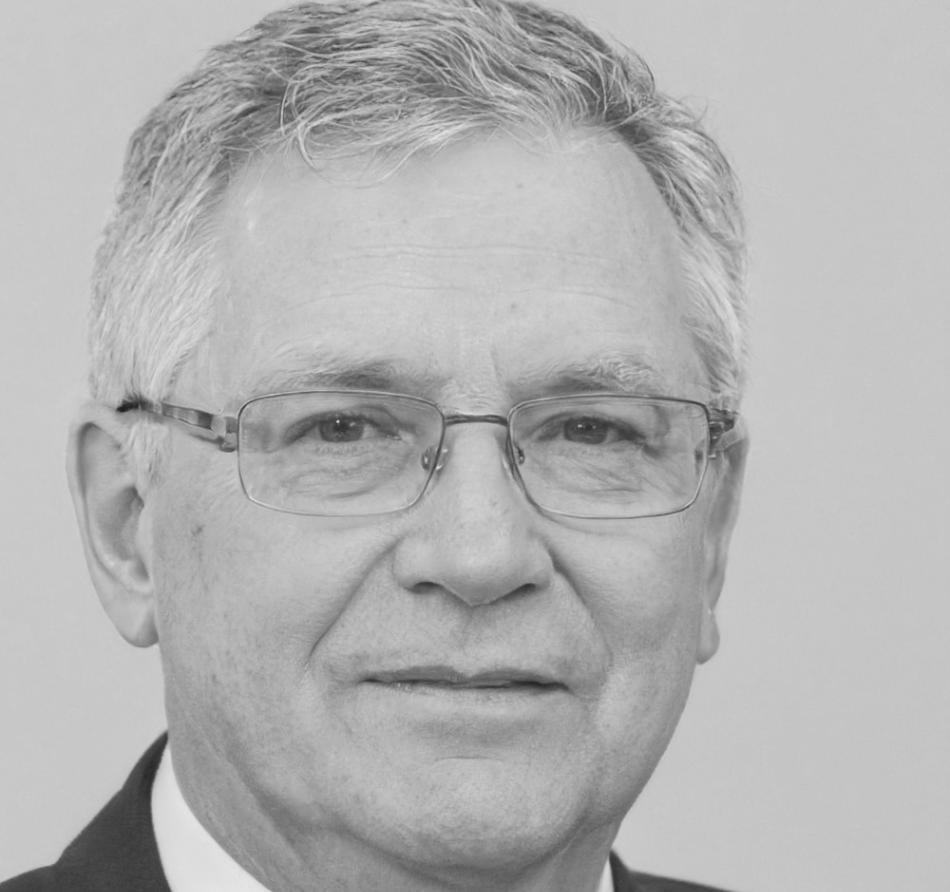 Especialista en recuperación de penalizaciones y auditoría de enlaces